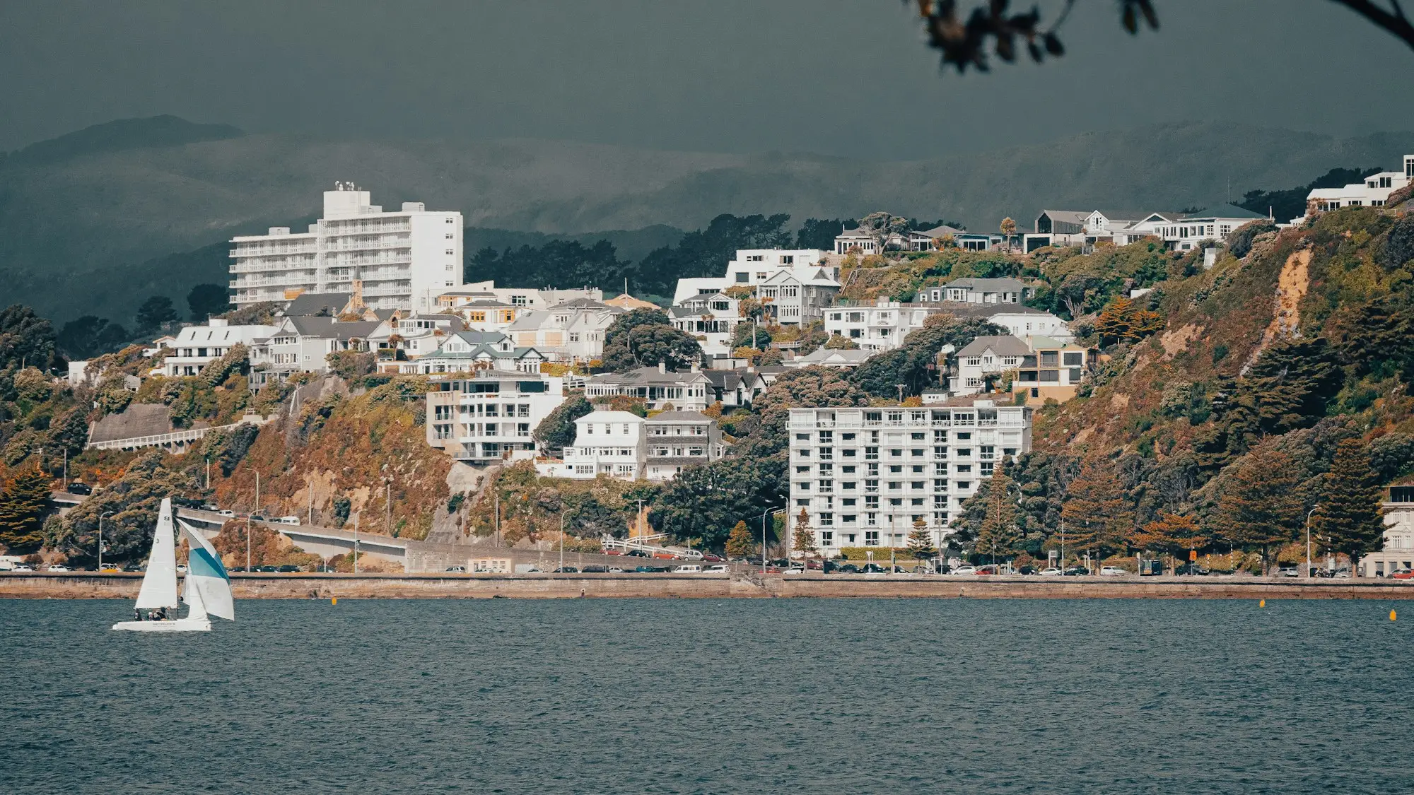 Wellington city across the harbour on a calm day